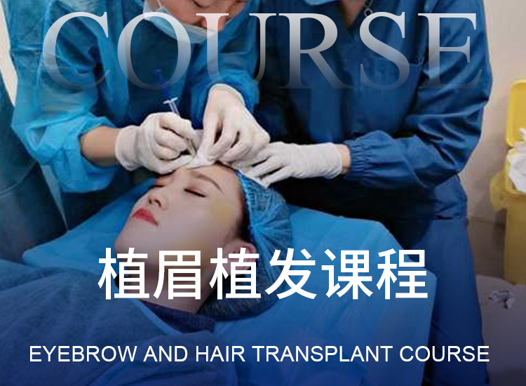 北京植眉植发课程